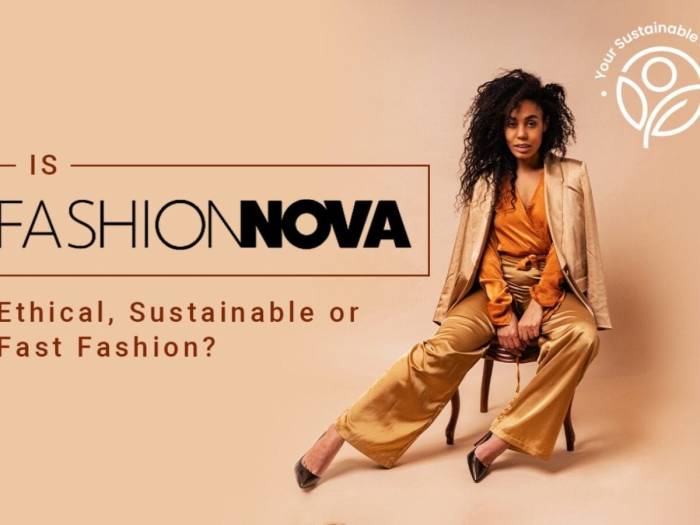 Fashion nova order history